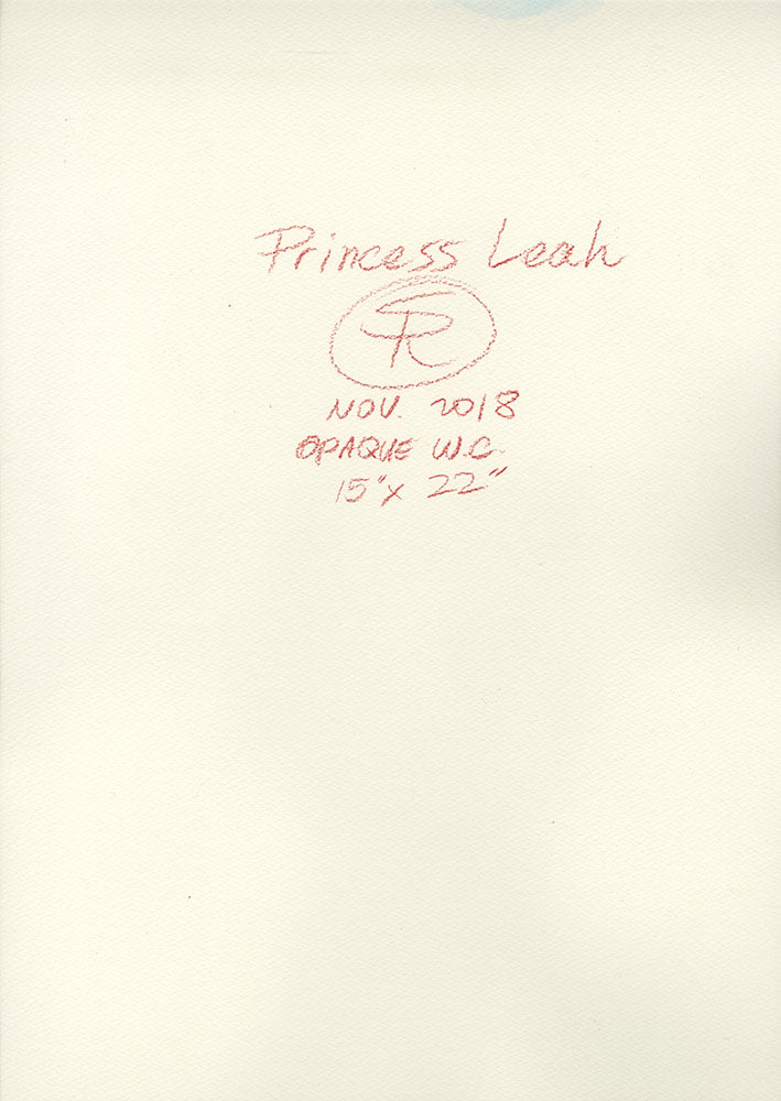 Princess Leia Beach Bikini