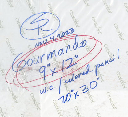 The Coming of Gourmando Cover for 9x12 Trade Paperback - Steve Rude Art