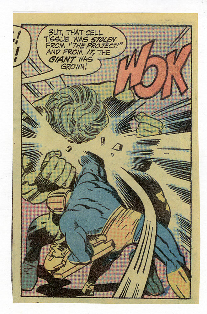 Golden Guardian Brawl