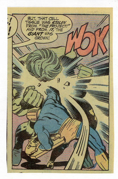 Golden Guardian Brawl