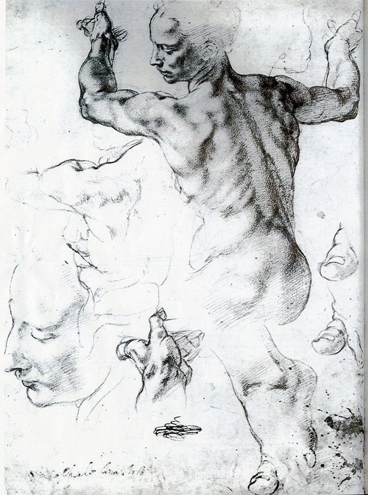 Michelangelo Pencil Livestream
