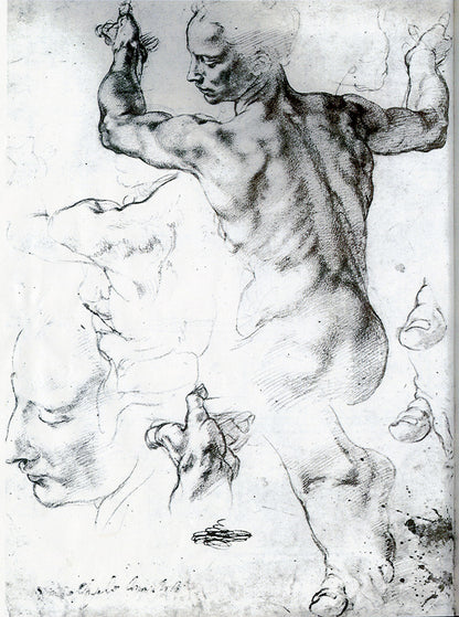 Michelangelo Pencil Livestream