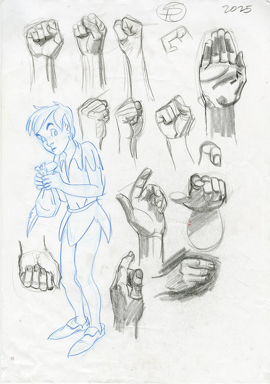 Peter Pan and Hand Modeling Study