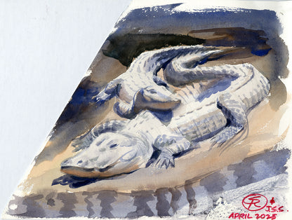 Muddy Alligators John Singer Sargent Study - Steve Rude Art