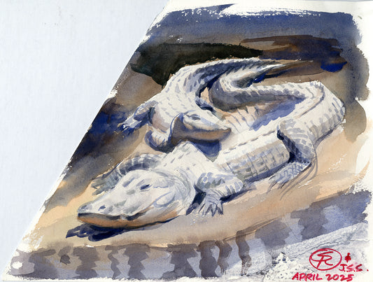 Muddy Alligators John Singer Sargent Study - Steve Rude Art