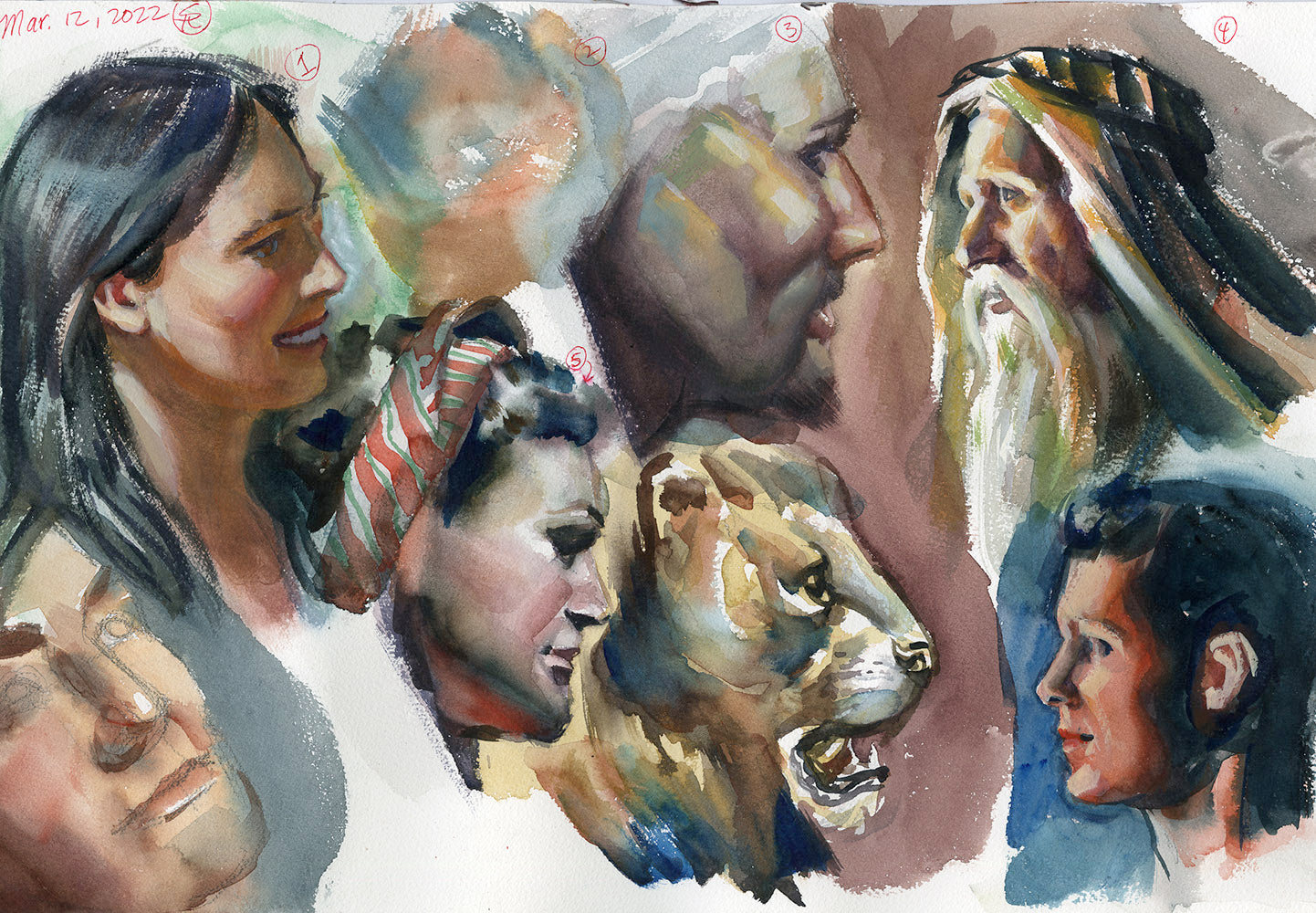 Lion and Various Faces Study